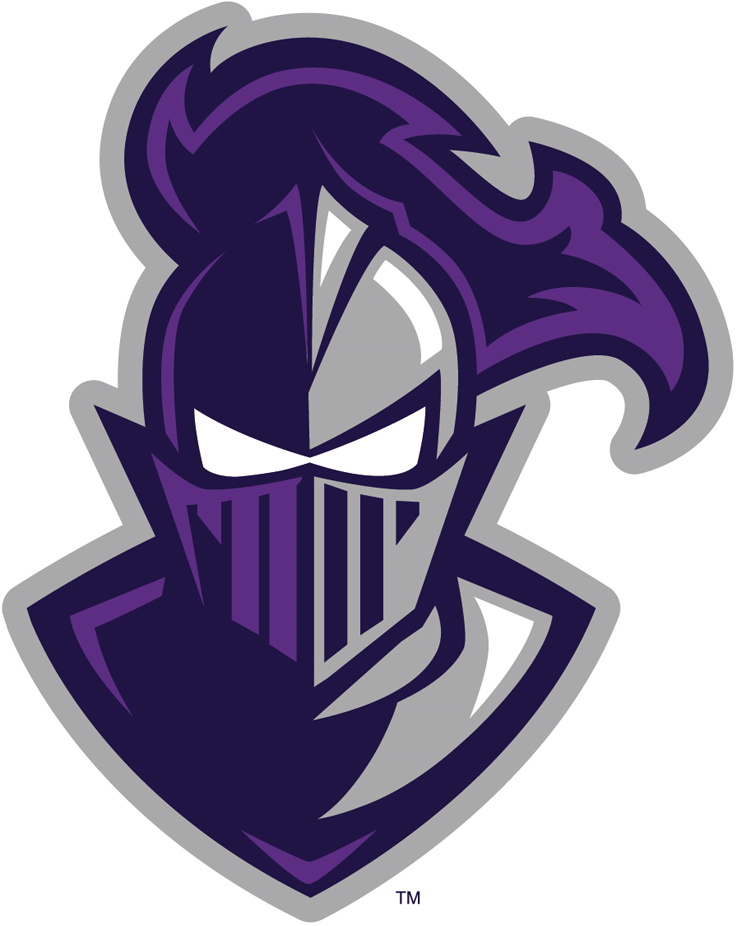 Furman Paladins 2013-Pres Alternate Logo diy DTF decal sticker